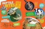 The Ultimate Book of Reptiles: Your guide to the secret lives of these scaly, slithery, and spectacular creatures! (National Geographic Kids) - Image 4