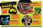 The Ultimate Book of Reptiles: Your guide to the secret lives of these scaly, slithery, and spectacular creatures! (National Geographic Kids) - Image 5