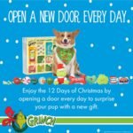 Dr. Seuss for Pets How the Grinch Stole Christmas Dog Advent Calendar with 12 Surprise Toys and Accessories, Dog Stocking Stuffers, Dog Christmas Gifts, Christmas Gifts for Dogs - Image 4