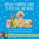 Dr. Seuss for Pets How the Grinch Stole Christmas Dog Advent Calendar with 12 Surprise Toys and Accessories, Dog Stocking Stuffers, Dog Christmas Gifts, Christmas Gifts for Dogs - Image 7