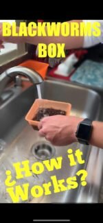 2022 Live Blackworms Box Keeper Wormbox Stackables Discus Altums Tropical Fish Worm Container Food Supplies Pet, Seafood, 9.59 Ounces - Image 5