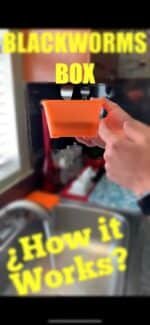 2022 Live Blackworms Box Keeper Wormbox Stackables Discus Altums Tropical Fish Worm Container Food Supplies Pet, Seafood, 9.59 Ounces - Image 7