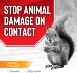 Squirrel Stopper, Liquid Animal Stopper Repellent, All Natural, Effective All Year Round, Safe for People and Pets, No Harsh Chemicals, Ready to Use, Squirrel Repellent - 1 Gallon - Image 4