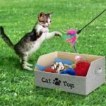 Large Cat Toy Box Cat Toy Storage Basket 2X Thicker Foldable Sturdy Pet Toy Storage Bin Bed for Organizing Pet Toys Treats Clothes and Accessories - Image 6