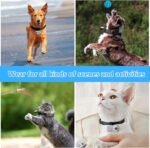 ehomful HD 1080P Cat Camera Collar with Video Record Wireless Mini Sport Cam,Small Action Cameras,Body Camera for Pet Supplies/Stuff,Outdoor/Inoor Birthday Gift no WiFi - Image 4