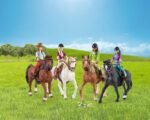 Schleich Horse Club Ride Out 40-Piece Playset Horse Gifts for Girls & Boys Ages 5+ with 4 Horse Rider Girls, 4 Horse Toys and Horse-Riding Accessories - Image 9