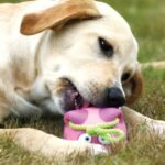 Bamboo Doggy Hoots Big Piggies Treat Dispenser - Image 4