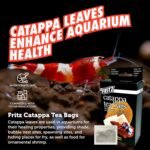 Fritz Aquatics Betta Botanicals for Betta and Community Fish Aquariums (Cattapa Tea Bags - 10ct) - Image 5