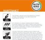 Nobby - 20045 / Orlux - Nourriture pour oiseaux - Lori - 3 kg - Image 3