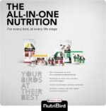 Nobby - 20045 / Orlux - Nourriture pour oiseaux - Lori - 3 kg - Image 8