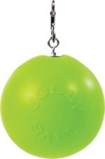 Horsemen's Pride Combo Horse Stall Toy: Apple Scented Jolly Ball and Apple Flavored Snack Holder (SS203) - Image 3