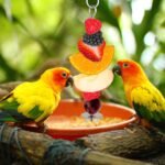 2pcs Bird Cage Food Holder, Stainless Steel Parrot Fruit Skewer with Hook Bird Fruit Feeder Bird Supplies Foraging Toys for Macaw Parakeet Parrot Budgie - Image 7