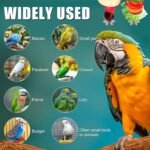 2pcs Bird Cage Food Holder, Stainless Steel Parrot Fruit Skewer with Hook Bird Fruit Feeder Bird Supplies Foraging Toys for Macaw Parakeet Parrot Budgie - Image 8