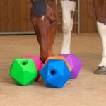 Shires Ball Feeder (Blue) - Image 3