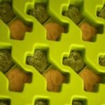 Messy Mutts Silicone Bake & Freeze Treat Making Mold | 2 Pack | 12 Bone Shaped 1 oz Molds | 9" x 9" Tray | Dishwasher, Freezer, Oven Safe | Blue/Green - Image 8