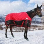Surcingle Turnout Blankets for Horse,1680D Winter Waterproof Horse Trunout Blanket, 400g / 14oz Warm Cotton Filling Liner, Medium Weight Waterproof Horse Blanket (US 72 in(EU 135 cm)) - Image 4