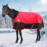 Surcingle Turnout Blankets for Horse,1680D Winter Waterproof Horse Trunout Blanket, 400g / 14oz Warm Cotton Filling Liner, Medium Weight Waterproof Horse Blanket (US 72 in(EU 135 cm)) - Image 5