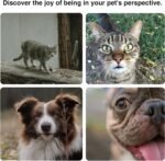 HD 1080P Cat Camera Collar,Dog Camera Collar with 32GB SD Card,Mini Body Cam,Sport/Action Camera with Video Records,Tracker for Outdoor Petsafe,Pet Supplies for Birthday Gift - Image 7