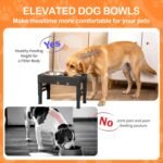 Elevated Dog Bowls with 2 Stainless Steel Dog Food Bowls 5 Height Adjustable Raised Dog Bowl Stand Non-Slip Dog Feeder Adjusts to 3.1”, 9”, 10”, 11”, 12” Tall for Medium Large Dogs - Black - Image 5