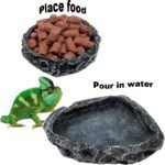 2 Pack Reptile Feeding Dish Corner Bowl, Reptile Water Dish Food Bowl, Reptile Feeding Terrarium Bowls for Bearded Dragon Lizard Frog Gecko Tortoise Hermit Crab - Image 3