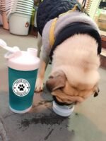 500 Pet Black Footprints Thank You Labels per Roll,Puppy Paw Stickers for Cookie Bag,Gift Box - Image 8