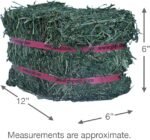Grandpa's Best Alfalfa Hay, 5 lbs - Image 4