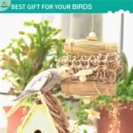 Natural and Dye-Free Seagrass Bird Toys for Cockatiels Chewing, Shredding, and Foraging Ideal for Parrotlets, Cockatiels, Conures, Parakeets, Budgies, Love Birds and More - Image 7