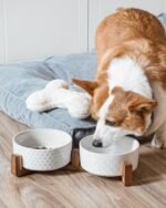 LE TAUCI Dog Bowls Ceramic, Bowl Set with Acacia Wood Stand, 3 Cups Dog Food and Water Bowl for Small Medium Sized, Weighted Dog, Pet Bowls - Image 5