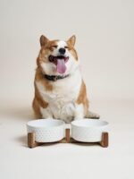 LE TAUCI Dog Bowls Ceramic, Bowl Set with Acacia Wood Stand, 3 Cups Dog Food and Water Bowl for Small Medium Sized, Weighted Dog, Pet Bowls - Image 6