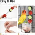 Bird Cage Food Holder Fruit Hanger 3Pcs, Parrot Fruit Vegetable Skewer Fruit Hanger Bird Cage Feeder Foraging Toy for Parakeet Budgie Macaw - Image 3