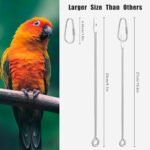 Bird Cage Food Holder Fruit Hanger 3Pcs, Parrot Fruit Vegetable Skewer Fruit Hanger Bird Cage Feeder Foraging Toy for Parakeet Budgie Macaw - Image 4