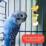 Bird Cage Food Holder Fruit Hanger 3Pcs, Parrot Fruit Vegetable Skewer Fruit Hanger Bird Cage Feeder Foraging Toy for Parakeet Budgie Macaw - Image 5