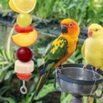 Bird Cage Food Holder Fruit Hanger 3Pcs, Parrot Fruit Vegetable Skewer Fruit Hanger Bird Cage Feeder Foraging Toy for Parakeet Budgie Macaw - Image 7