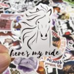 AOWDIAO 100 Pieces Horse Stickers, Horse Riding Stickers Pack for Water Bottle, Laptop, Car, Luggage, Horse Gifts for Girls Women Kids - Image 5