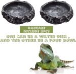 2PCS Reptile Water Bowls Reptile Feeder Food Dish with Tongs for Tortoise Lizard Bearded Dragon Frog Leopard Gecko Snake Chameleon - Image 5