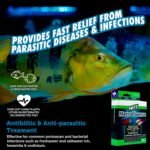 Fritz MetroCleanse - 20 pk - Image 4