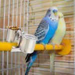Tioncy 2 PCS Bird Parrot Feeding Double Cups Dishes Hanging Stainless Steel Food Water Bowls with Clip Pet Animal Food Water Bowls Holder for Cage Coop Perches Play Stand Accessories - Image 7