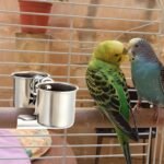 Tioncy 2 PCS Bird Parrot Feeding Double Cups Dishes Hanging Stainless Steel Food Water Bowls with Clip Pet Animal Food Water Bowls Holder for Cage Coop Perches Play Stand Accessories - Image 8