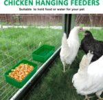 5 Pcs Bird Feeder for Cage, Small Bird Food Bowls for Cage, Bird Cage Accessories for Budgies Cockatiel Lovebird Small Birds Canary Finch - Image 5