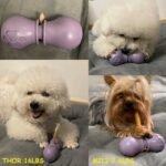 Bully Stick Holder for Dogs, Chew Holder, Prevent Choking Safety Device-Small - Image 5