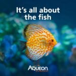 Aqueon AquaPacs Ammonia Reducer 12 Pack, 10 Gallon - Image 9