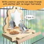Tfwadmx Bird Parrot Wooden Feeding Cups Small Bird Feeding Dish Cups Stainless Steel Birds Bowls Food Water Bowls with Bird Food Holder for Cockatiel Parakeet Macaw Finches Lovebirds - Image 5