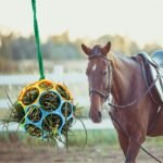 Besimple 2 Pack Horse Treat Ball Hay Feeder Toy, Goat Feeder Ball Hanging Feeding Toy for Horse Goat Sheep Relieve Stress (Colorful) - Image 3