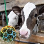 Besimple 2 Pack Horse Treat Ball Hay Feeder Toy, Goat Feeder Ball Hanging Feeding Toy for Horse Goat Sheep Relieve Stress (Colorful) - Image 4