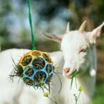 Besimple 2 Pack Horse Treat Ball Hay Feeder Toy, Goat Feeder Ball Hanging Feeding Toy for Horse Goat Sheep Relieve Stress (Colorful) - Image 6