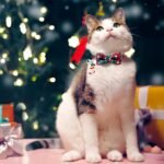 LLHK 4 Pack Christmas Cat Collars with Bow Tie and Bell,Breakaway Kitten Collar for Girl Boy Cats,Adjustable 7-12inch, for Kitty Kitten Adult Cats,Pet Supplies,Stuff,Accessories - Image 3