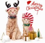 LLHK 4 Pack Christmas Cat Collars with Bow Tie and Bell,Breakaway Kitten Collar for Girl Boy Cats,Adjustable 7-12inch, for Kitty Kitten Adult Cats,Pet Supplies,Stuff,Accessories - Image 7