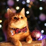 LLHK 4 Pack Christmas Cat Collars with Bow Tie and Bell,Breakaway Kitten Collar for Girl Boy Cats,Adjustable 7-12inch, for Kitty Kitten Adult Cats,Pet Supplies,Stuff,Accessories - Image 8