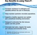 MICROBE-LIFT THERAPH16 TheraP Fish Care Treatment for Freshwater and Saltwater Home Aquariums and Tanks, 16 Ounces - Image 7