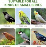 Pet Bird Water Feeder, Automatic Parrot Feeder for Parakeets, Budgies, Finches, Lovebirds, Canaries - Image 6